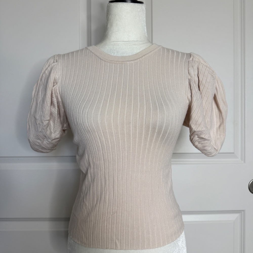ZARA Puff Sleeve Top